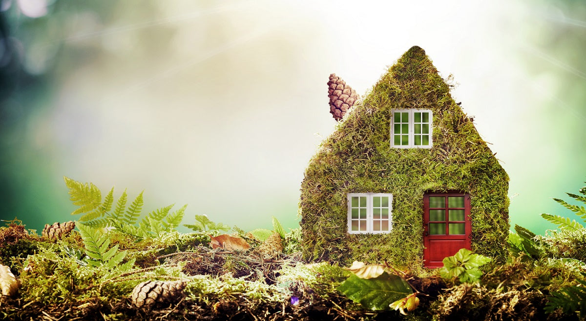 Why are Eco Friendly Homes Important for the World We Live in: Essential Benefits Revealed