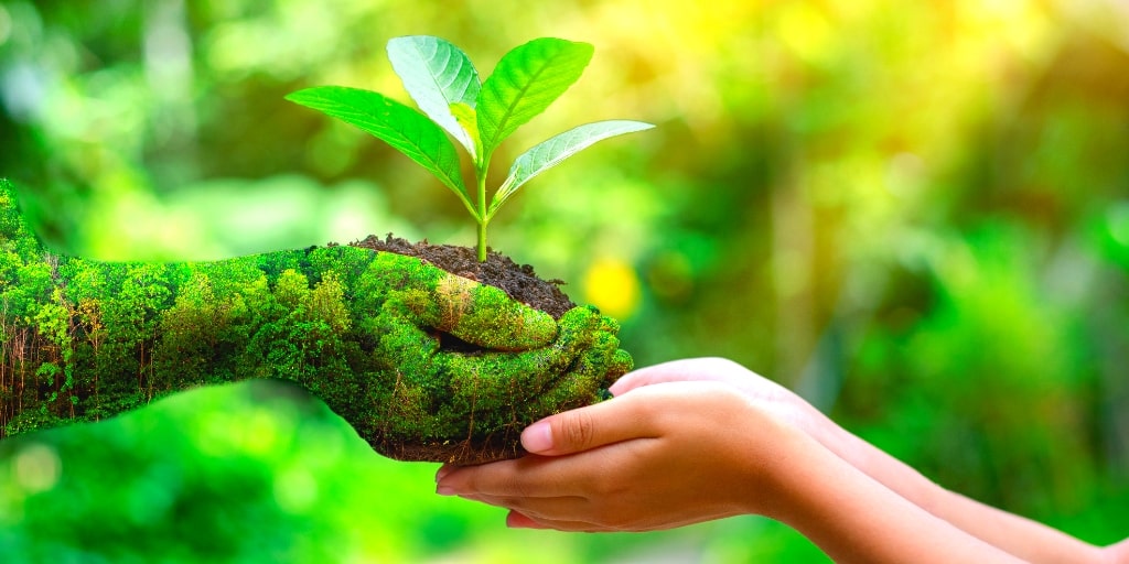 7 Tips To Be More Eco-friendly in 2020
