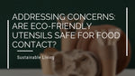 Addressing Concerns: Are Eco-Friendly Utensils Safe for Food Contact?