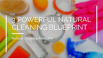 3 Powerful Natural Cleaning Blueprint