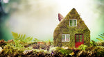 5 Reasons Eco-Friendly Living is Important