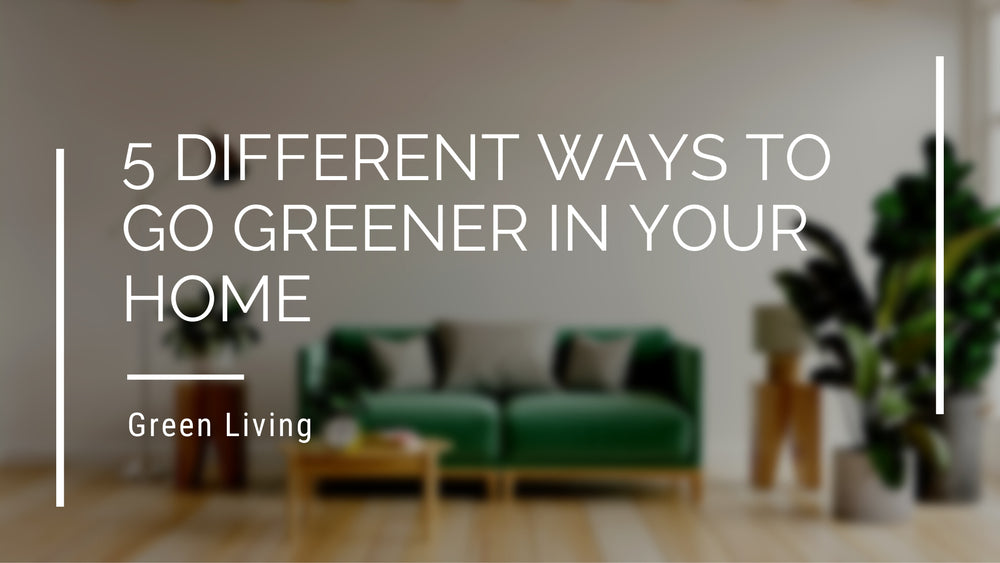 5 Different Ways To Go Greener In Your Home