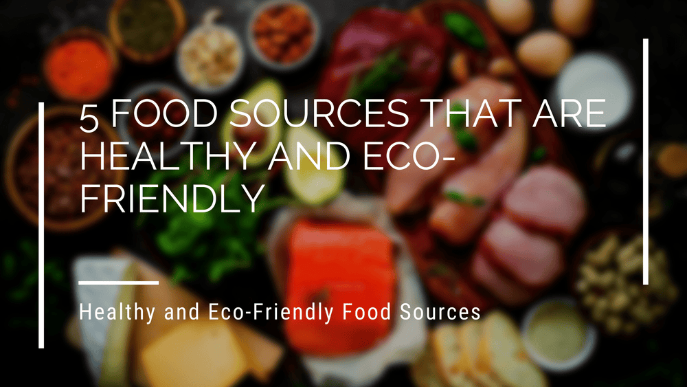 5 Food Sources That Are Healthy and Eco-Friendly – Eco Bravo