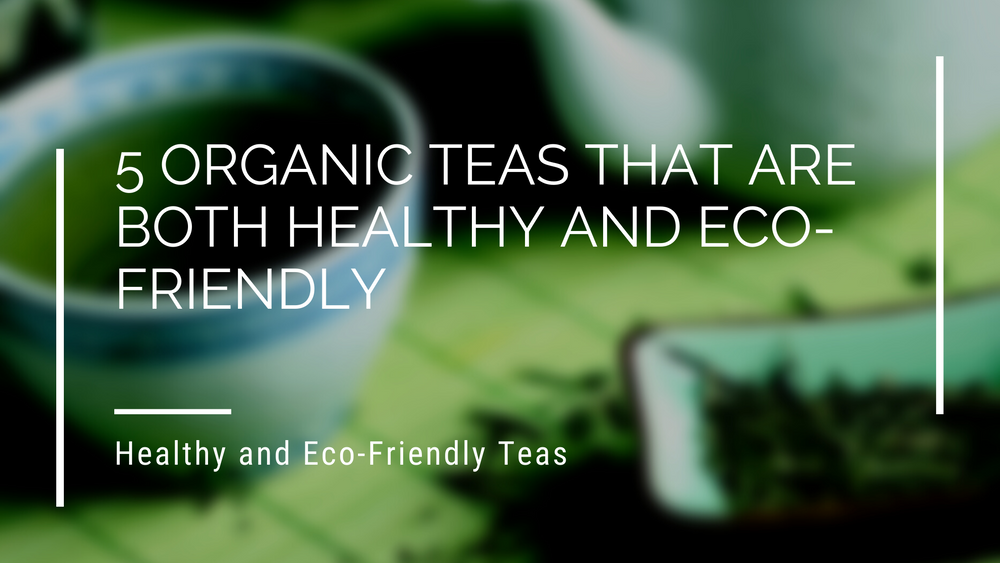 5 Organic Teas That Are Both Healthy And Eco-Friendly – Eco Bravo