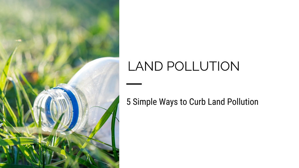 5 Simple Ways to Curb Land Pollution