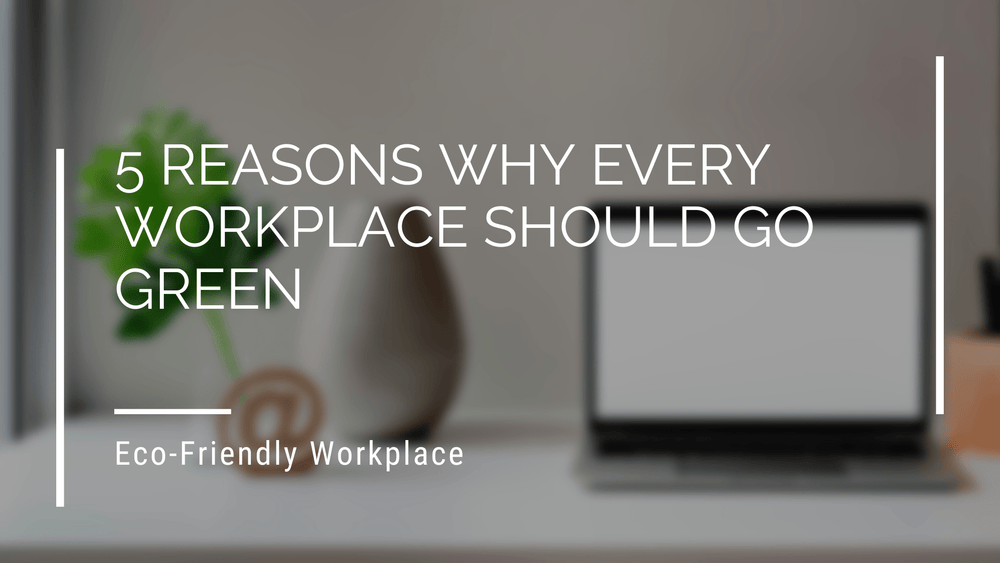 5 reasons why every workplace should go green