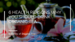 6 Health Reasons Why You Should Drink Organic Tea