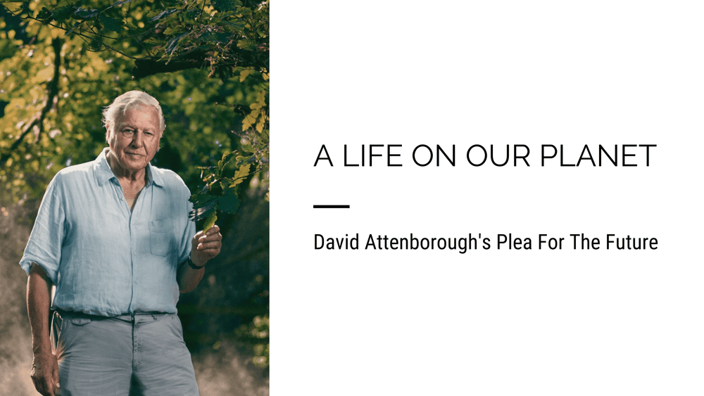 A Life On Our Planet - David Attenborough’s Plea For The Future