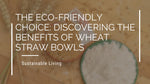 The Eco-Friendly Choice: Discovering the Benefits of Wheat Straw Bowls