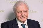 the battle against plastic pollution with David Attenborough