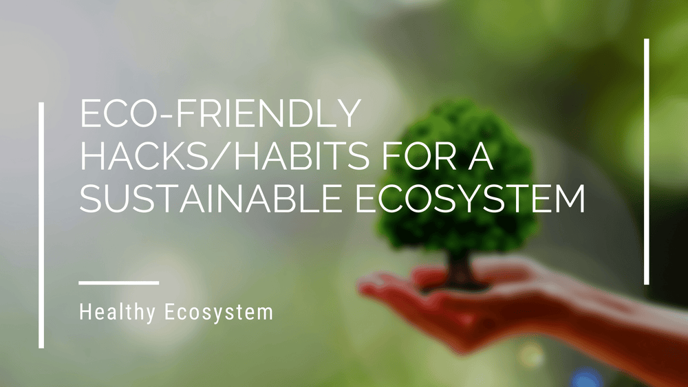 Eco-Friendly Hacks/Habits For A Sustainable Ecosystem