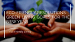 Eco-Friendly Resolutions: Green Living Goals for the New Year