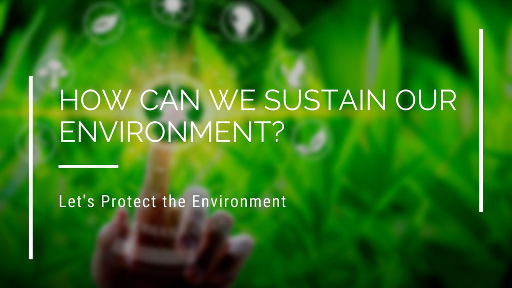 How Can We Sustain our Environment?