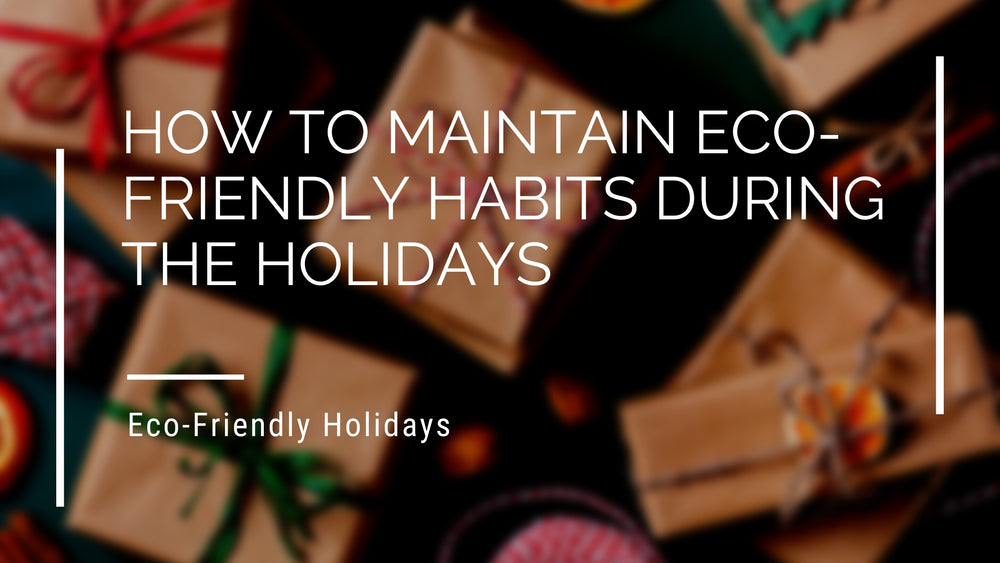 How to Maintain Eco-Friendly Habits During the Holidays