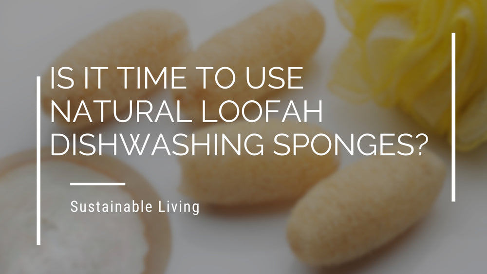 Is It Time To Use Natural Loofah Dishwashing Sponges?