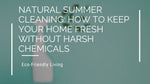 Natural Summer Cleaning: How to Keep Your Home Fresh Without Harsh Chemicals