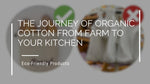 The Journey of Organic Cotton from Farm to Your Kitchen