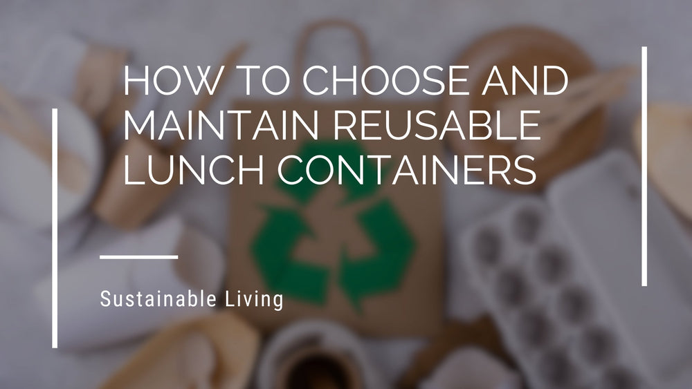 How To Choose And Maintain Reusable Lunch Containers