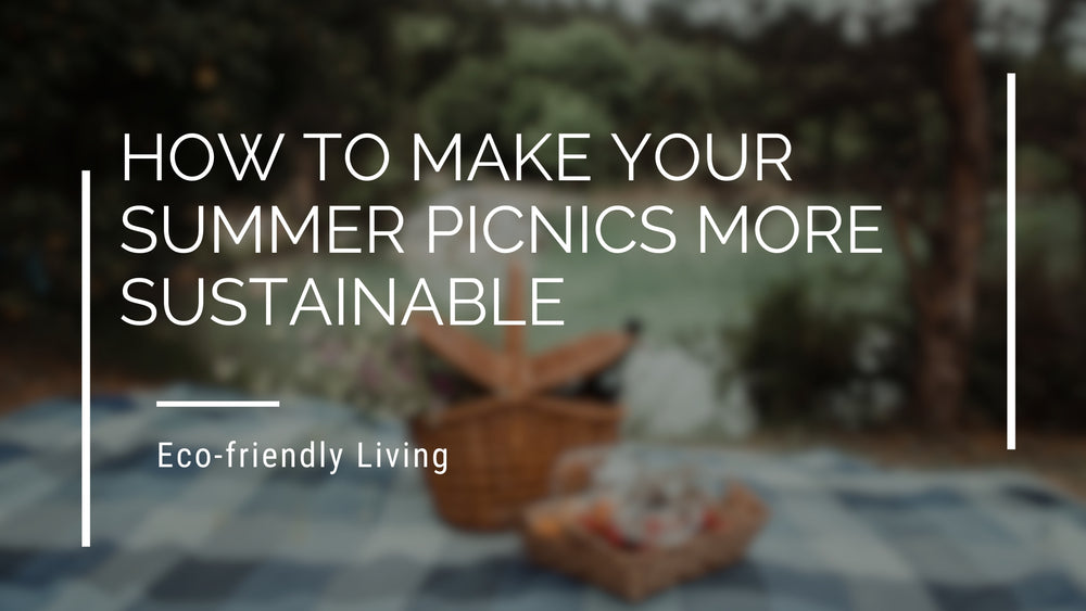 How to Make Your Summer Picnics More Sustainable