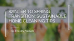 Winter to Spring Transition: Sustainable Home Cleaning Tips