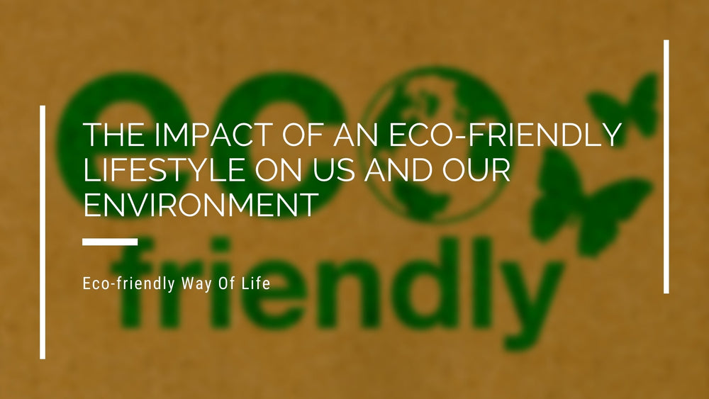 The Impact Of An Eco-friendly Lifestyle On Us And Our Environment