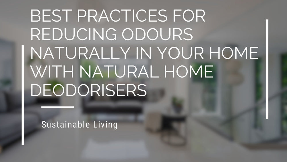 Best Practices For Reducing Odours Naturally In Your Home With Natural Home Deodorisers