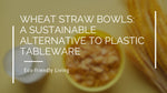 Wheat Straw Bowls: A Sustainable Alternative to Plastic Tableware