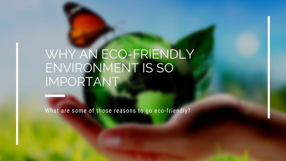 Why An Eco-friendly Environment Is So Important