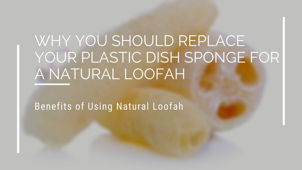 Why You Should Replace Your Plastic Dish Sponge for a Natural Loofah
