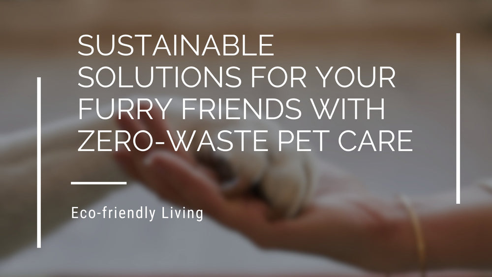 Sustainable Solutions For Your Furry Friends With Zero-Waste Pet Care