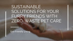 Sustainable Solutions For Your Furry Friends With Zero-Waste Pet Care