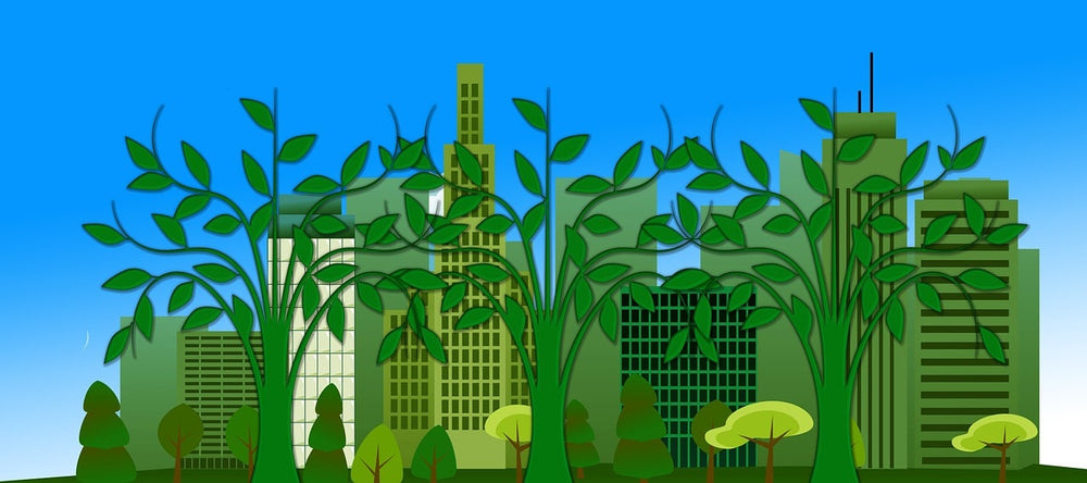 how to become an eco-friendly business