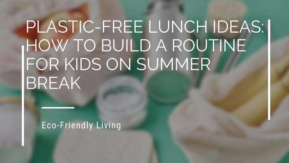 Plastic-Free Lunch Ideas: How to Build a Routine for Kids on Summer Break