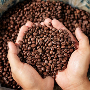 
                  
                    Ethiopia Sidamo Coffee - Whole Bean & Ground
                  
                